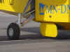 21.jpg (67794 bytes)