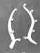 29.jpg (127191 bytes)