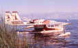 riv-9.jpg (92338 bytes)